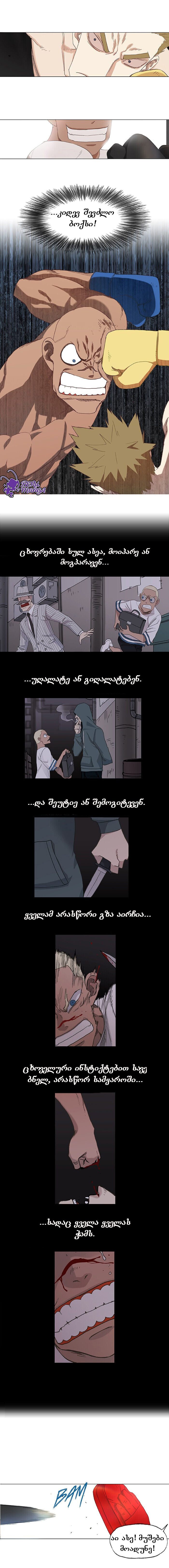Page (1)