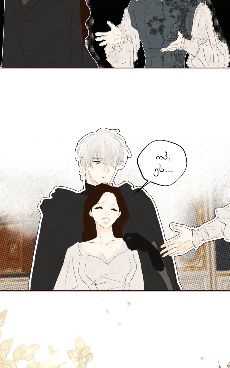 Page (1)